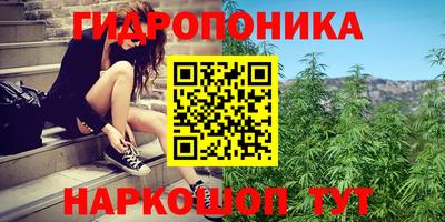 дмт Абинск
