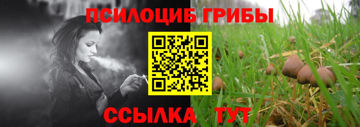 Галлюциногенные грибы Magic Shrooms  Вход с VPN  где можно купить наркотик  Алейск 