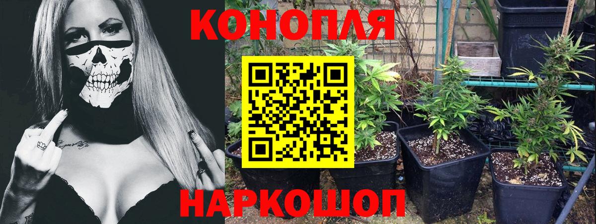 ГАШИШ  А ПВП СК кристаллы  Меф МЯУ МЯУ   КОКАИН  НБОМе  Каннабис  Алейск  Вход с VPN 